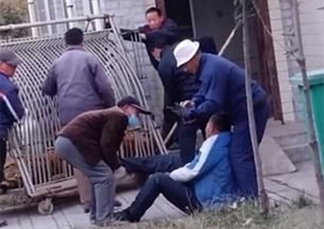 Tigre ‘despierta’ de anestesia y muerde a veterinario