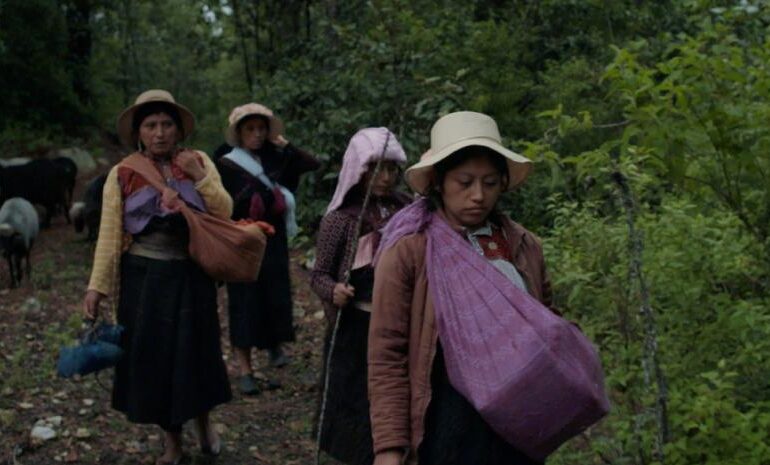 ‘Formas de atravesar un territorio’ explora los vínculos entre generaciones y la naturaleza