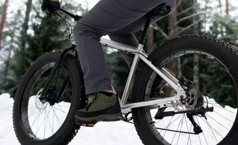 La batalla por la tranquilidad urbana: Ámsterdam pone en jaque las fatbikes en su parque central